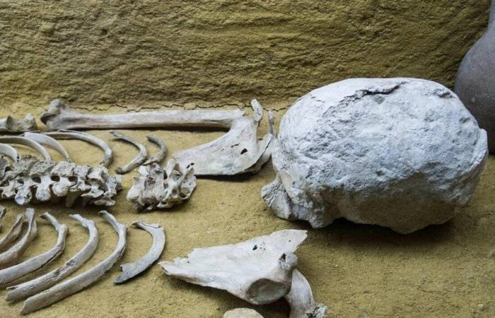 Puy-de-Dôme. Knochen unbekannter Herkunft von einem Arbeiter auf einer Baustelle entdeckt