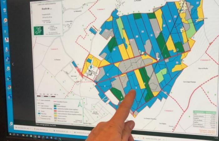 Auf der Suche nach morgen | Loire-Atlantique. Sylvamap: die App zur Kartierung Ihres Waldes