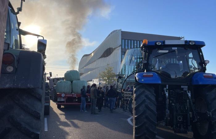 GARD Agriculture: vier Gründe zum Vorzeigen