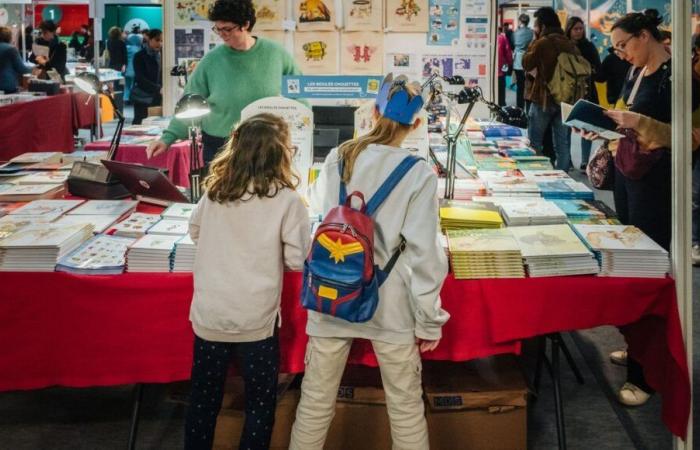 Buch- und Jugendpressemesse in Montreuil, ein Markt, der recht gut läuft