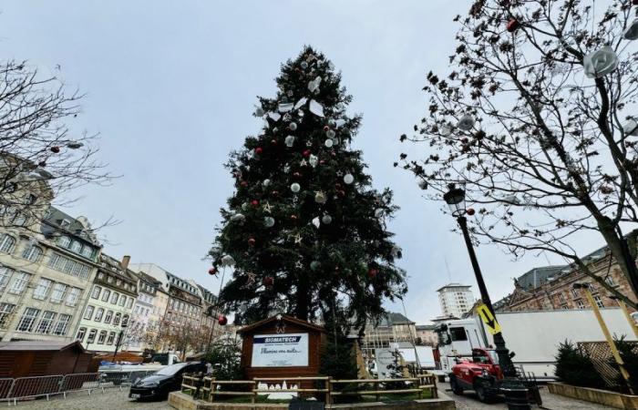 Die 10 Gebote zum Überleben auf dem Straßburger Weihnachtsmarkt, Ausgabe 2024