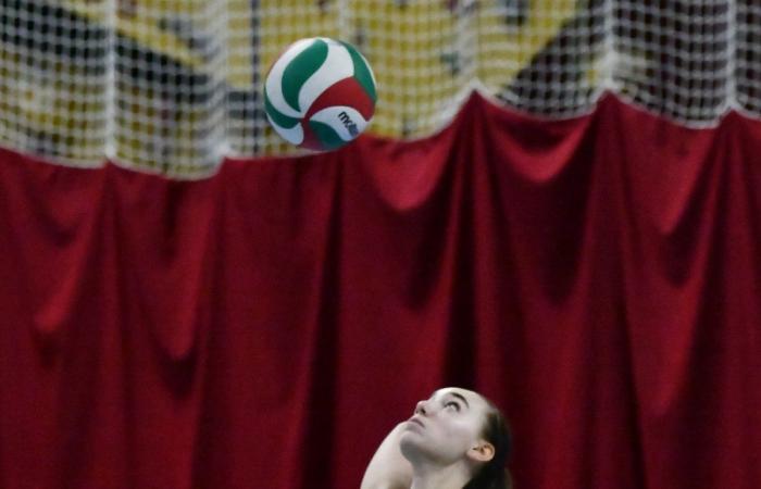 VOLLEYBALL: Nur die Männer von Le Creusot haben gewonnen… Die Frauen haben alles verloren…