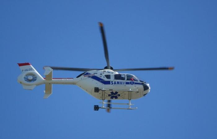 Unfall in der Nähe von Toulouse. Ein Auto prallt gegen eine Platane, der Fahrer schwebte zwischen Leben und Tod