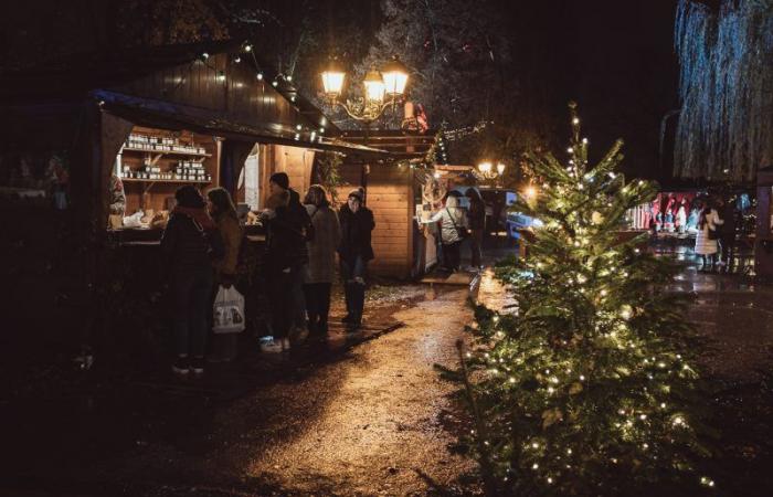 Die 10 Gebote zum Überleben auf dem Straßburger Weihnachtsmarkt, Ausgabe 2024