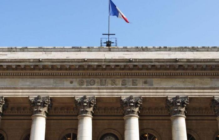 CAC 40: Politisches Risiko in Frankreich belastet den Bankensektor und den CAC 40