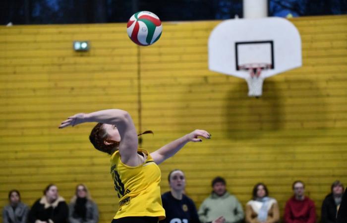 VOLLEYBALL: Nur die Männer von Le Creusot haben gewonnen… Die Frauen haben alles verloren…