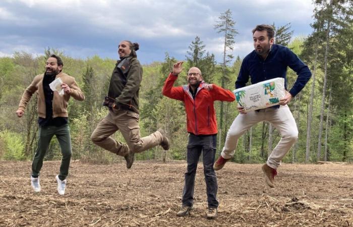 In den Wäldern des Haut-Jura ein freches Aufforstungsprojekt