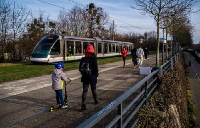 Die 10 Gebote zum Überleben auf dem Straßburger Weihnachtsmarkt, Ausgabe 2024