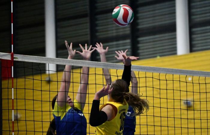 VOLLEYBALL: Nur die Männer von Le Creusot haben gewonnen… Die Frauen haben alles verloren…