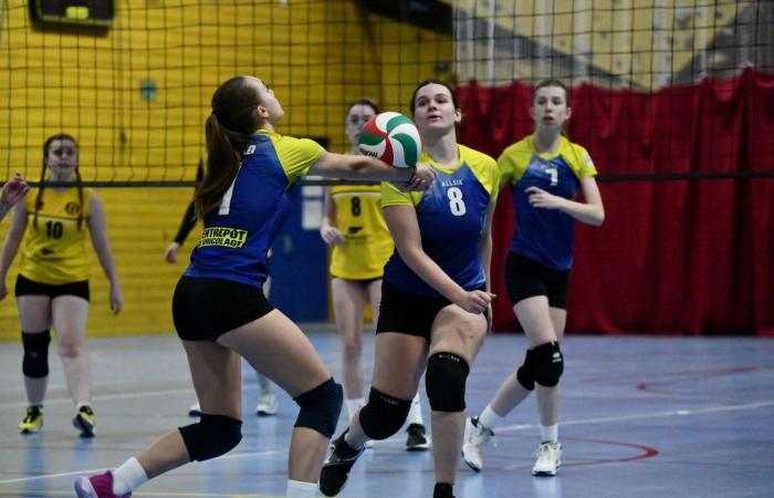 VOLLEYBALL: Nur die Männer von Le Creusot haben gewonnen… Die Frauen haben alles verloren…