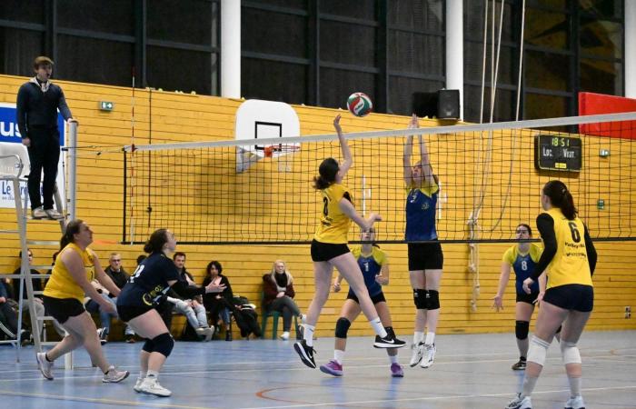 VOLLEYBALL: Nur die Männer von Le Creusot haben gewonnen… Die Frauen haben alles verloren…