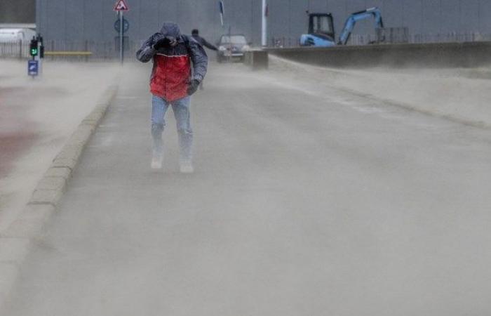 Niederländischer Wetterdienst warnt vor gefährlichem Sturm Conall: Code Orange angekündigt und Flüge gestrichen