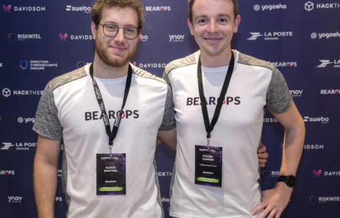 Bearops gewinnt in der offensiven Cybersicherheit an Boden