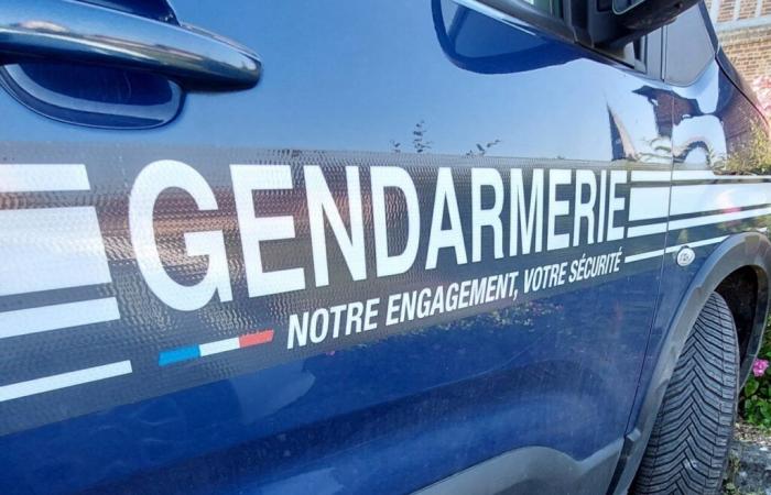 Er geht zur Gendarmerie, um ein Problem zu lösen … Er kommt ohne Führerschein wieder heraus