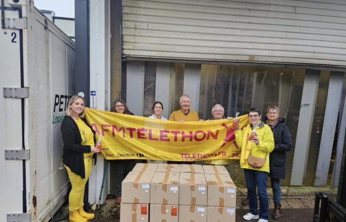 Der Telethon 2024 ist an diesem Wochenende voller Solidaritätsaktivitäten – Medialot