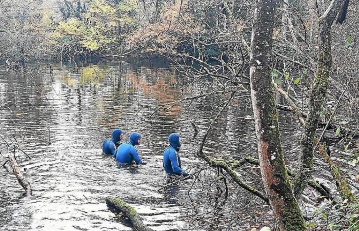 Verschwinden einer Teenagerin in Pabu: Ein Hubschrauber und Taucher werden in die Gegend entsandt