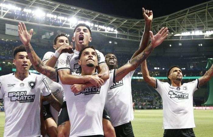 Botafogo schlägt Palmeiras und übernimmt in einem entscheidenden Spiel die Führung der Brasileirão zurück