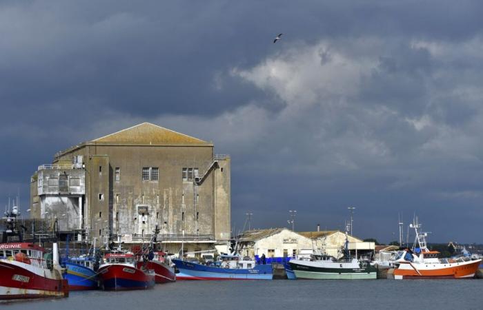 Durchsuchungen im Hafen wegen des Verdachts der Veruntreuung öffentlicher Gelder