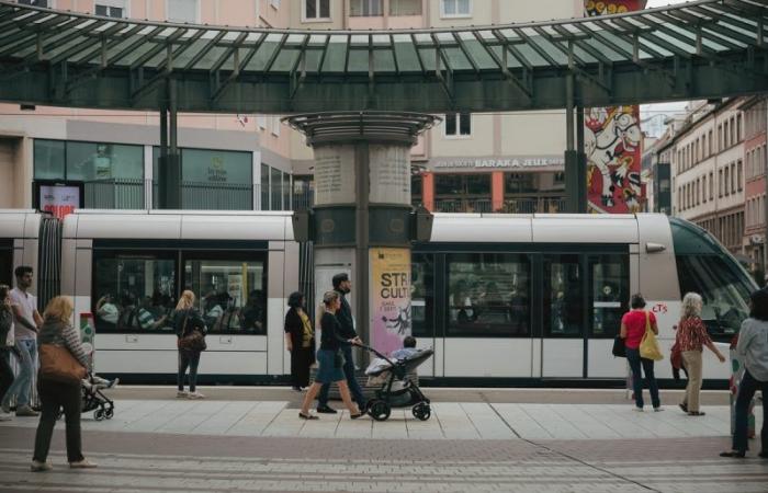 Die 10 Gebote zum Überleben auf dem Straßburger Weihnachtsmarkt, Ausgabe 2024