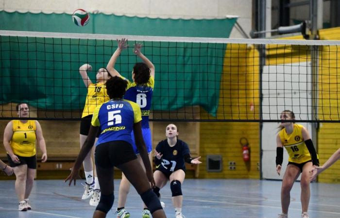 VOLLEYBALL: Nur die Männer von Le Creusot haben gewonnen… Die Frauen haben alles verloren…