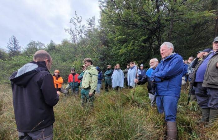 in Auberive eine unterschiedliche und vorteilhafte Waldbewirtschaftung