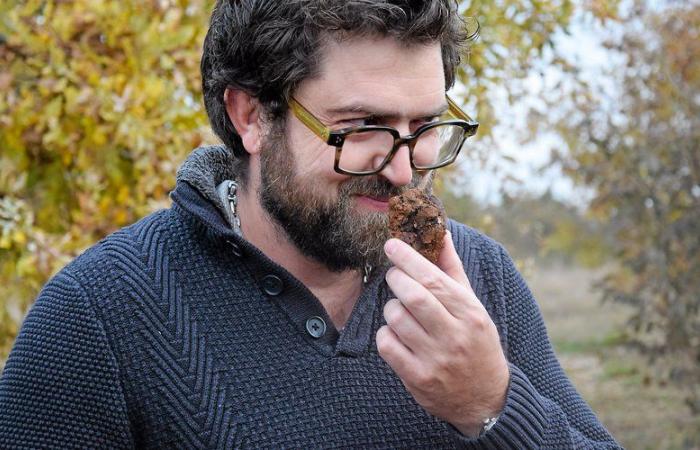 Auch wenn „die Alten wussten, wo sie in der Natur zu finden sind“, verdient der Trüffelanbau im Aveyron dennoch Aufmerksamkeit