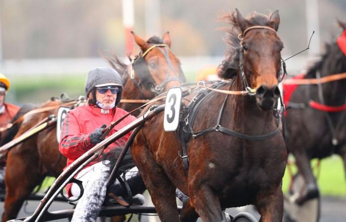 Sonntag in Vincennes – Eric Blot: „Es ist Jean-Michel Bazire, der im Jeudi des Racques schmollen wird“