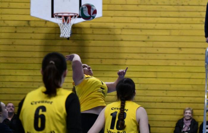 VOLLEYBALL: Nur die Männer von Le Creusot haben gewonnen… Die Frauen haben alles verloren…