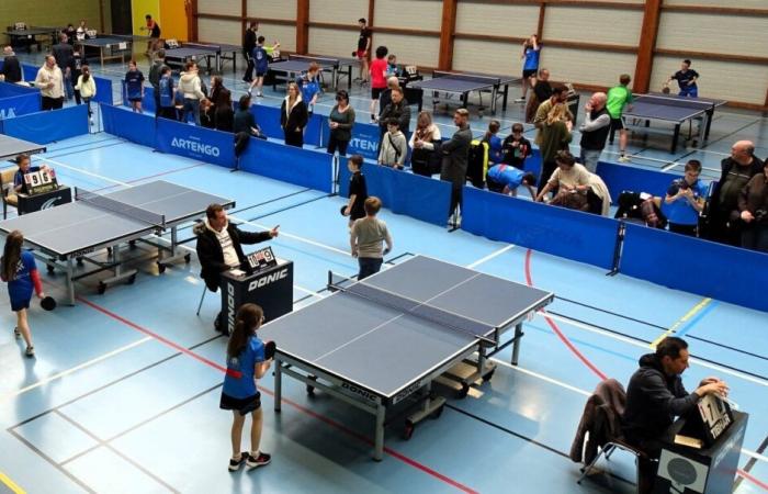 Dank der Lebrun-Brüder erregt Tischtennis im Ärmelkanal große Aufmerksamkeit