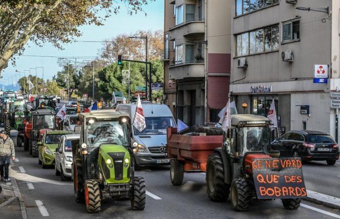 Landwirtschaftliche Mobilisierung: anhaltende Dürre, Absterben von Obstplantagen, Verwaltungsaufwand, Ersatz von Nutzpflanzen … die Gründe für die Wut in den Pyrénées-Orientales