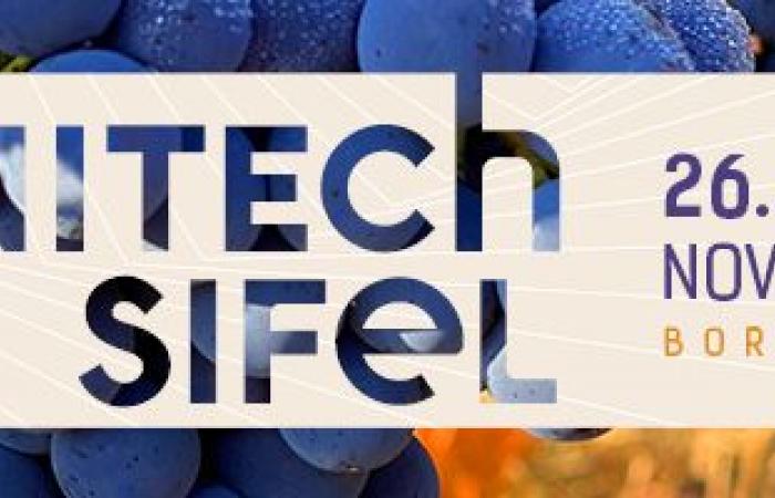 [Vinitech-Sifel] Die Gold-Innovationstrophäen 2024