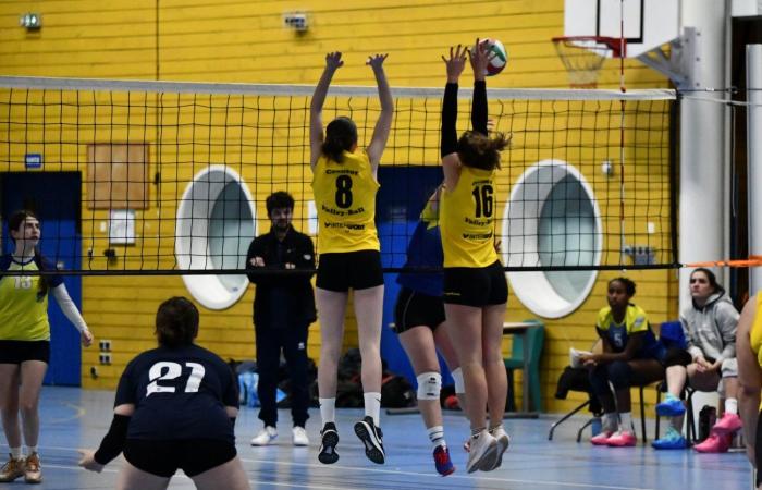 VOLLEYBALL: Nur die Männer von Le Creusot haben gewonnen… Die Frauen haben alles verloren…