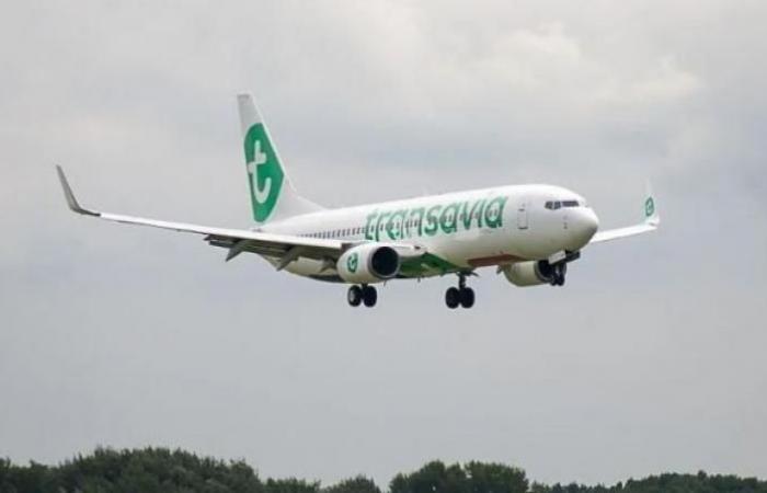 Transavia-Shuttle Paris-Nizza: „Je erfolgreicher wir sind, desto mehr Flugzeuge werden wir einsetzen“