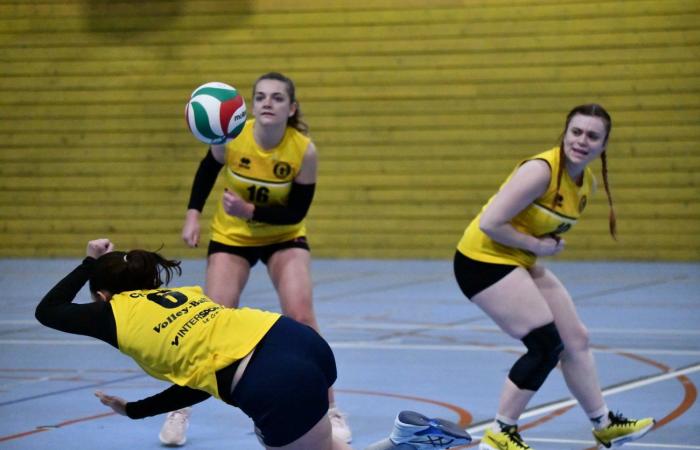 VOLLEYBALL: Nur die Männer von Le Creusot haben gewonnen… Die Frauen haben alles verloren…