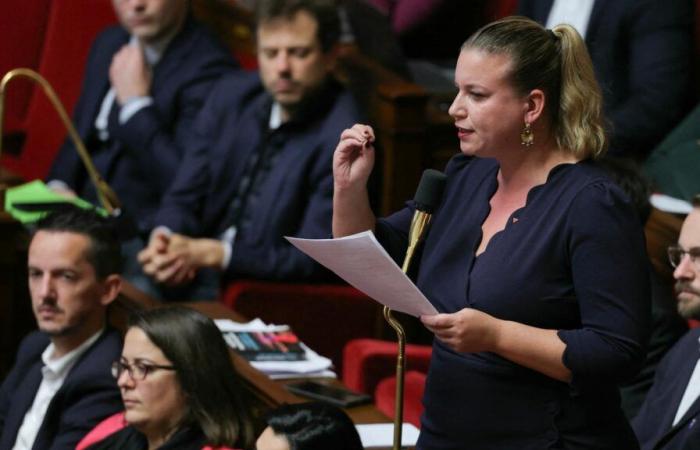 Für La France insoumise wurde der parlamentarische Nischentag zu einer Schlägerei in der Versammlung