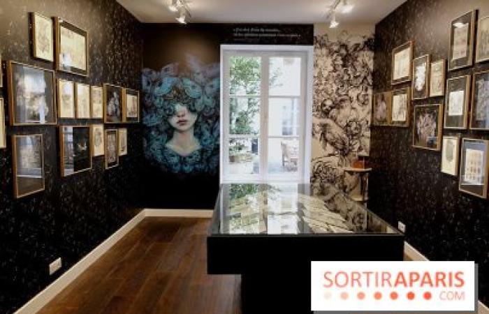 Benjamin Lacombe präsentiert „Papillon Noir“, die kostenlose Ausstellung in der Galerie Gallimard, unsere Fotos