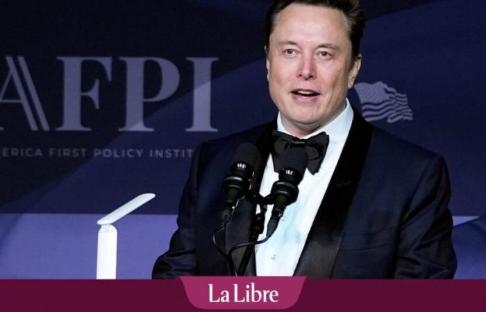 Ist Elon Musks „außerordentlicher Einfluss“ eine Gefahr für die USA?