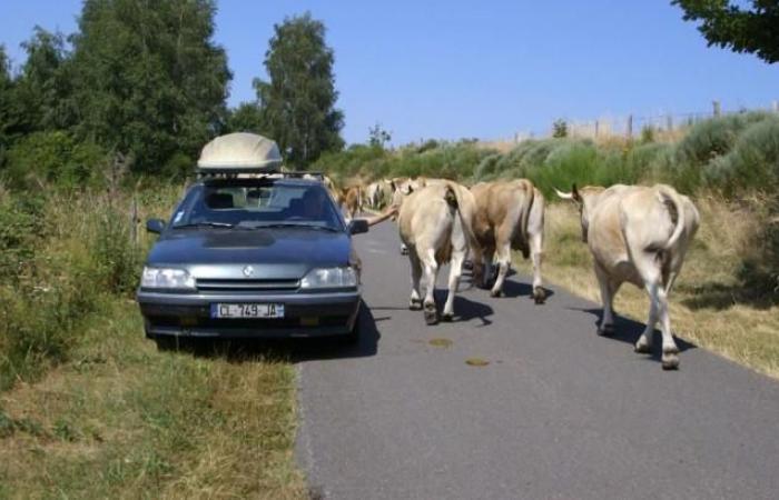 Gégé, ein Bauer auf der Flucht