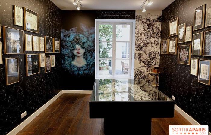 Benjamin Lacombe präsentiert „Papillon Noir“, die kostenlose Ausstellung in der Galerie Gallimard, unsere Fotos