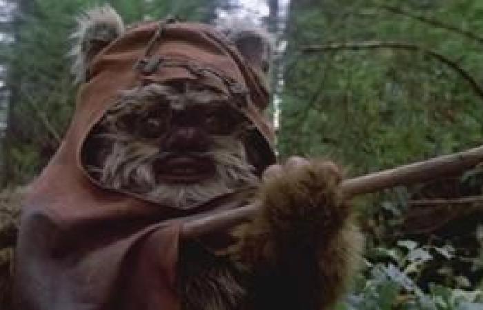 Denis Villeneuve wird wegen der Ewoks in „Die Rückkehr der Jedi-Ritter“ nie Regie bei „Star Wars“ führen