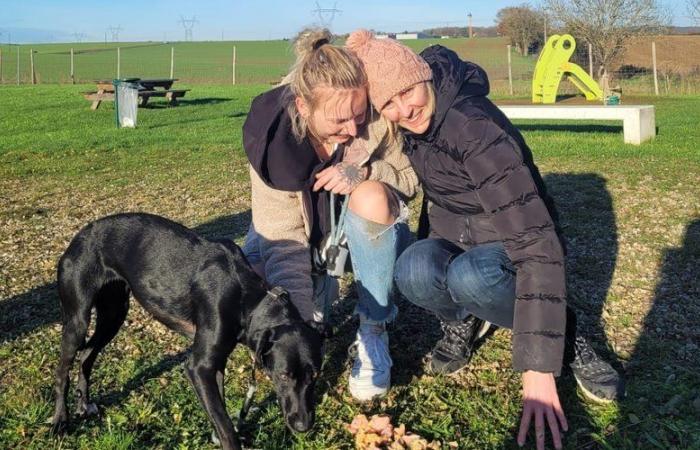 Verschwinden von Amalka am Flughafen Roissy-Charles de Gaulle: „Sie warf sich in die Arme ihres Herrchens“, stellte der junge Hund schließlich fest