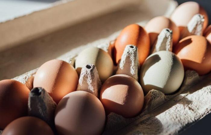 Costco-Bio-Eier wegen Salmonellenrisikos zurückgerufen