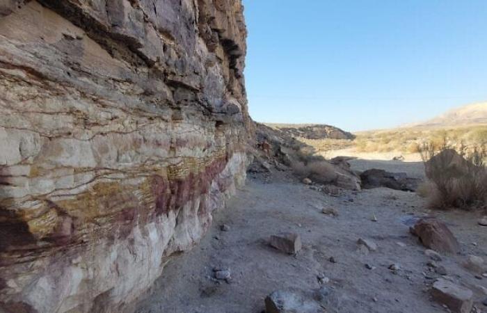 Israel startet mit seinem ersten nationalen Meerespark den Offshore-Schutz