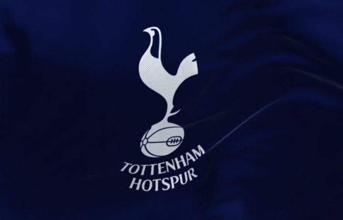 Voraussichtliche Aufstellung von Tottenham Hotspur gegen Roma