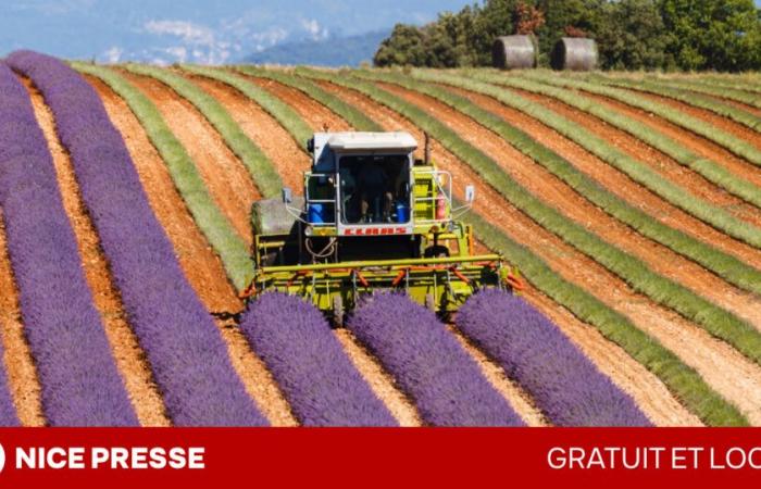 In der Region Provence-Alpes-Côte d’Azur kündigt die Region Süd die Aufrechterhaltung ihrer lokalen Hilfe trotz staatlicher Kürzungen an