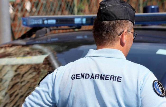 Christelle Jean-François, 29 Jahre alt, getötet und zerstückelt auf Réunion: lokale Emotionen angesichts des Grauens