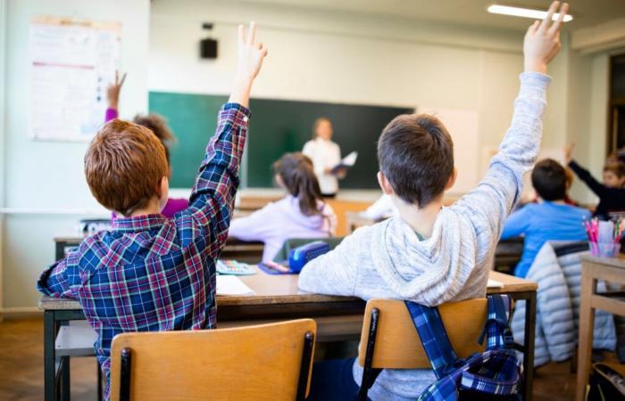 Wie sieht die neue Sexualaufklärung in der Schule aus?