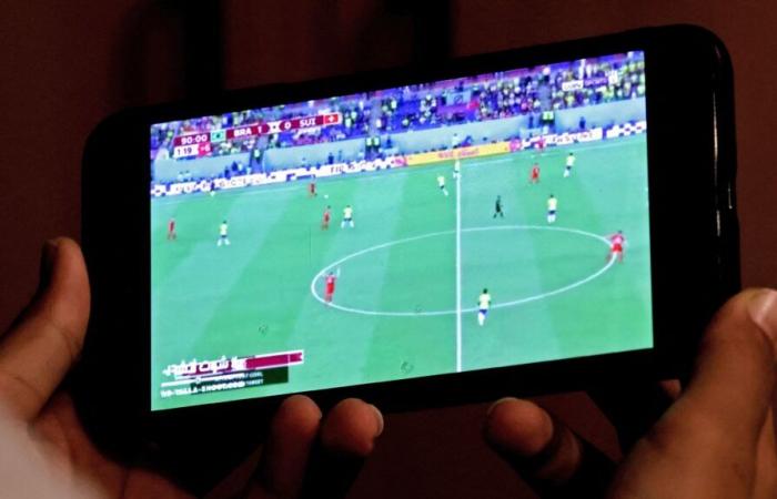 Der Sportsektor verliert laut Arcom, die über die Entwicklung von IPTV besorgt ist, 290 Millionen Euro pro Jahr