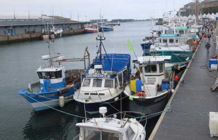 Was wir über die Durchsuchung im Hafen von Lorient im Rahmen eines Deals mit Oman wissen