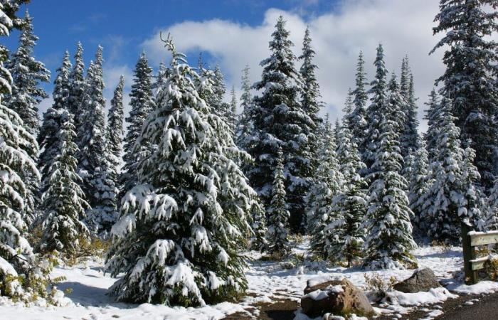 Mit 20 Jahren überlebt ein Wanderer mehr als einen Monat allein in der Natur bei -20°C